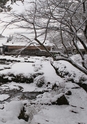 秋吉台国際芸術村　Akiyoshidai International Art Village　レジデンス・サポート・プログラム　Residence Support Program