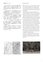 秋吉台国際芸術村 Akiyoshidai International Art Village レジデンス・サポート・プログラム