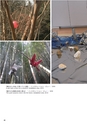 秋吉台国際芸術村 Akiyoshidai International Art Village レジデンス・サポート・プログラム 2017-2018