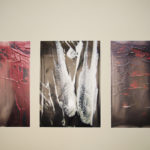 Exhibition