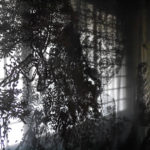 Layer of SESSHU 展示風景