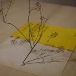 TAKU HOTEHAMA Exhibition